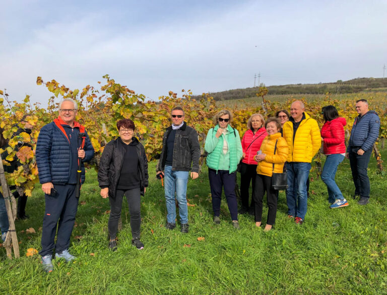 wycieczka po winnicy Kövesd - Tokaj