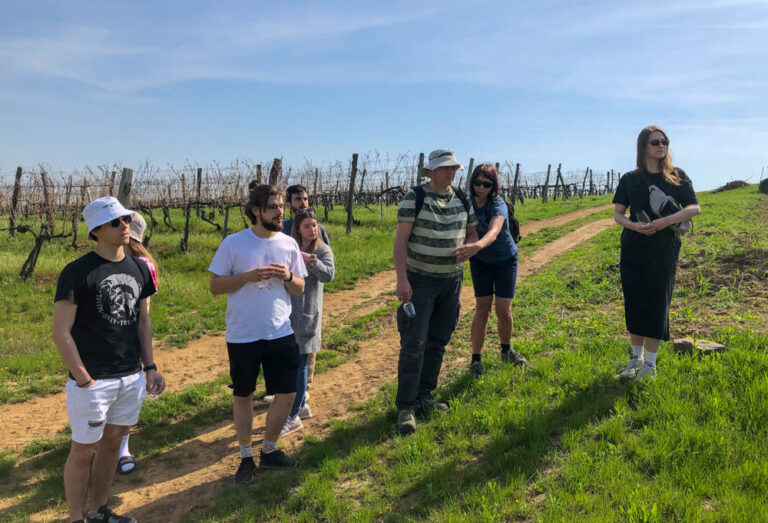 wycieczka po winnicy Kövesd - Tokaj