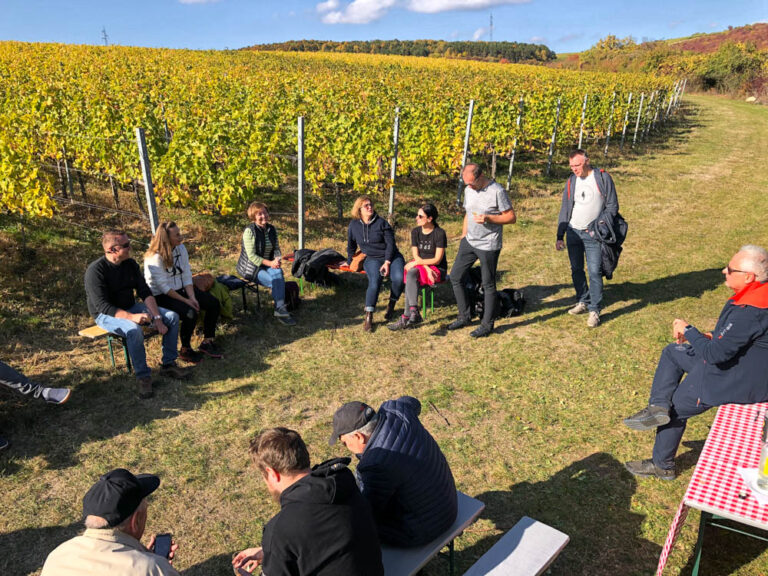 wycieczka po winnicy Kövesd - Tokaj