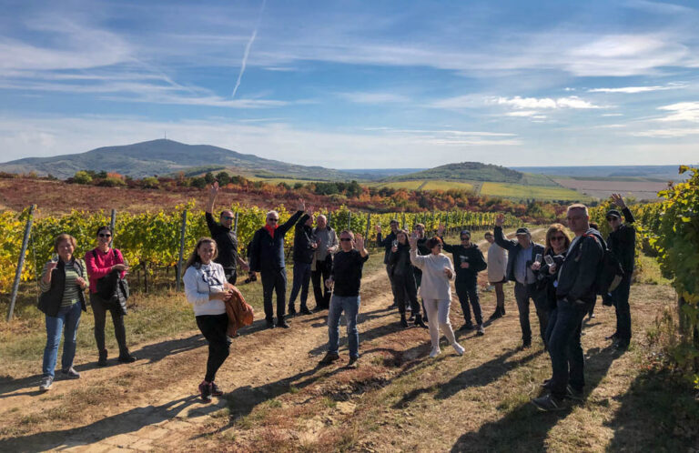 wycieczka po winnicy Kövesd - Tokaj