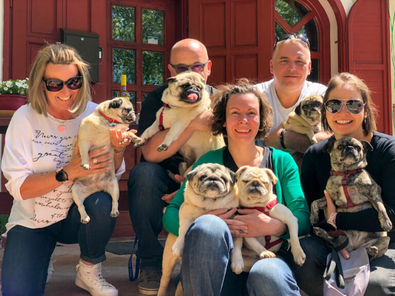 wycieczka po winnicy Kövesd - Tokaj